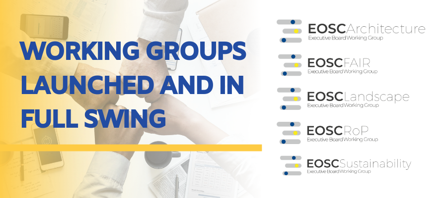 Working Groups Launched and in Full Swing